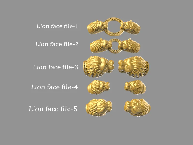 Lion face file 5-pieces